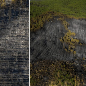 usakta ormanlik alanda cikan yangin buyuk oranda kontrol altina alindi wabVB1Fv