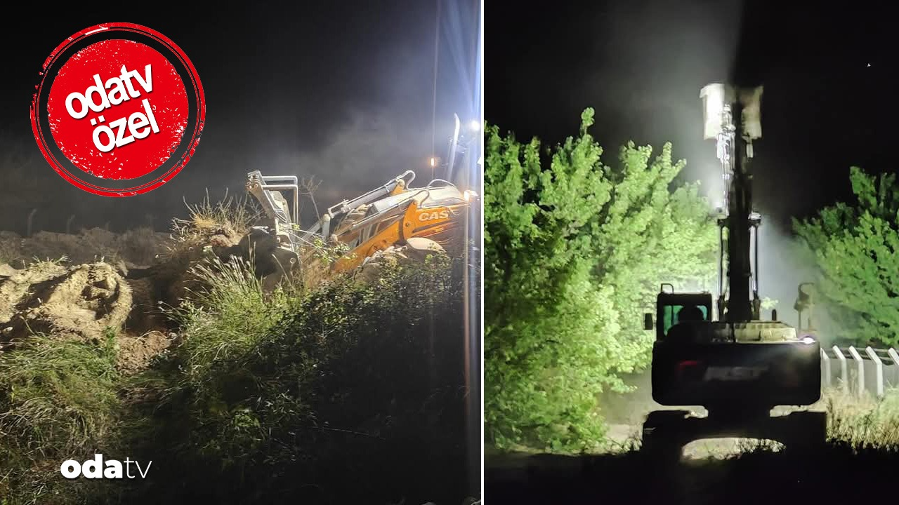 mezarlik projesi agaclara mezar oldu malatyada kayisi kiyimi QlhT9S7S