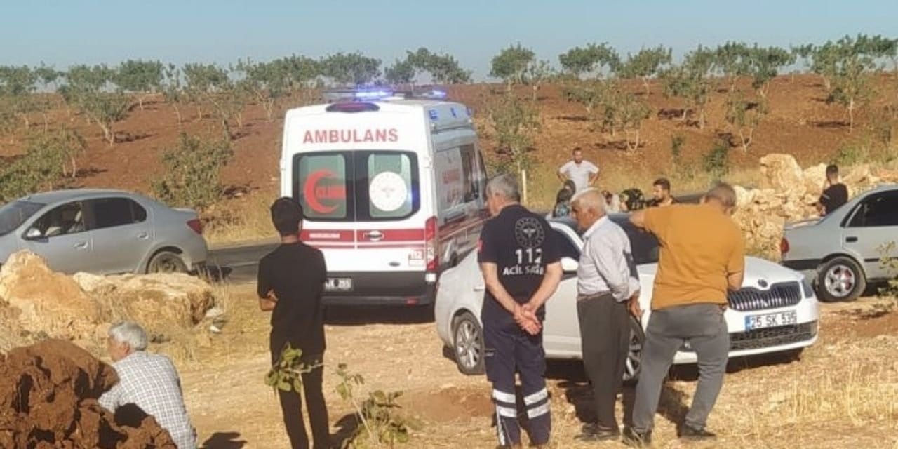 otomobil sarampole devrildi bir kisi yasamini yitirdi 3 kisi yaralandi t8EK5L4L