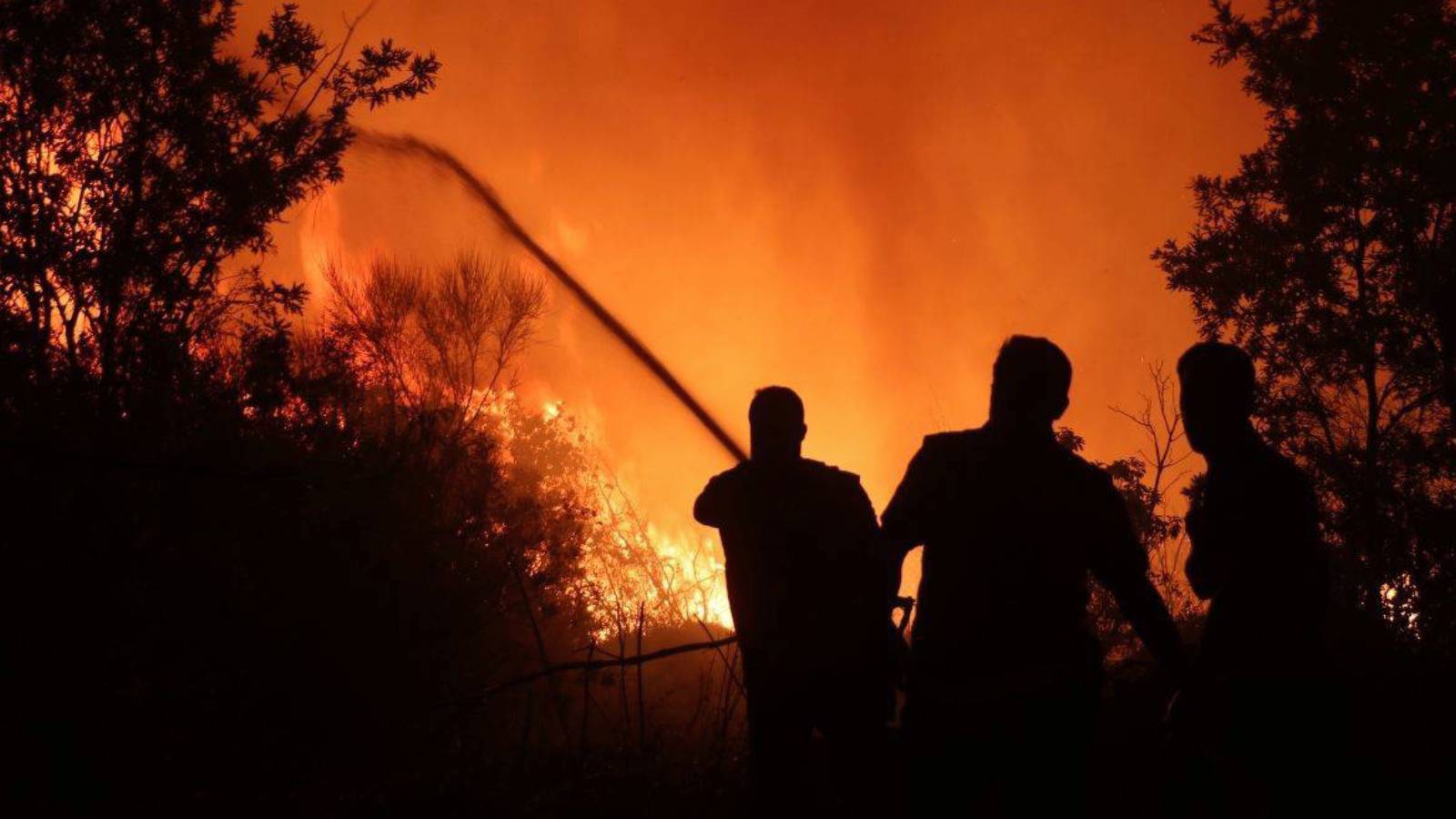 suriye lazkiyede 3 ayri orman yangini gLIzGA6H