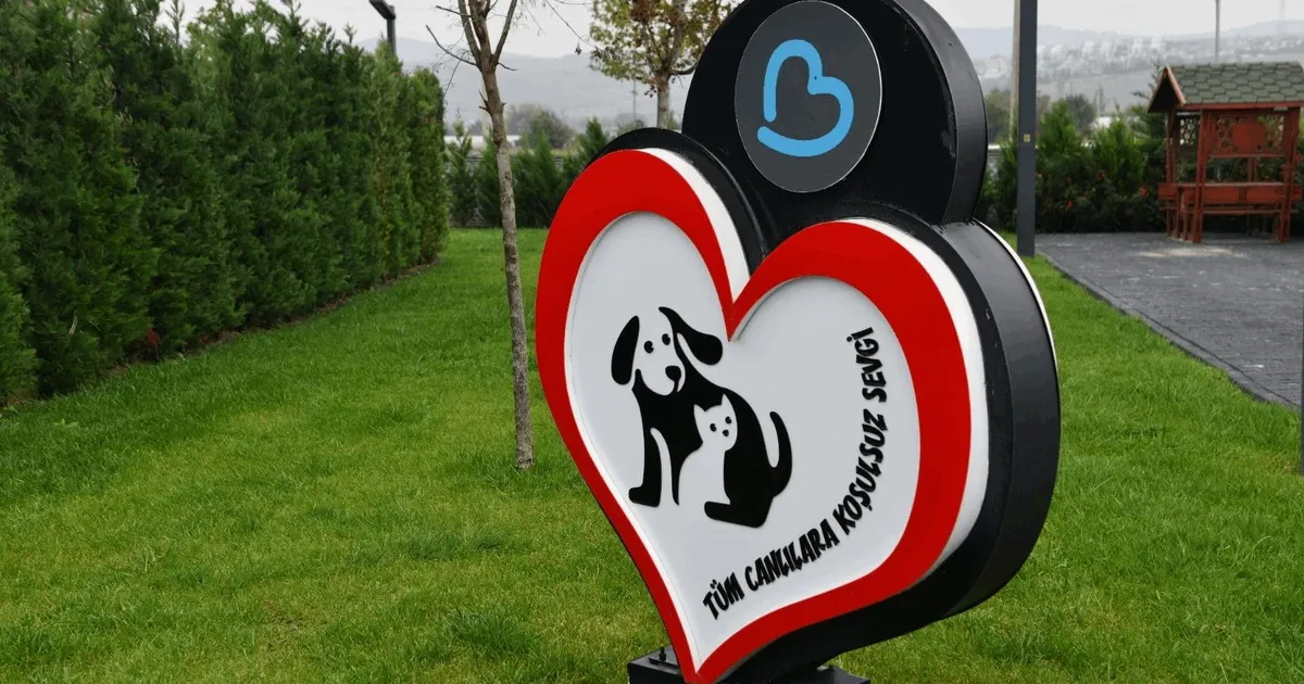 balikesirde can dostlar buyuksehir eliyle guvende 3GAnvz6W.webp