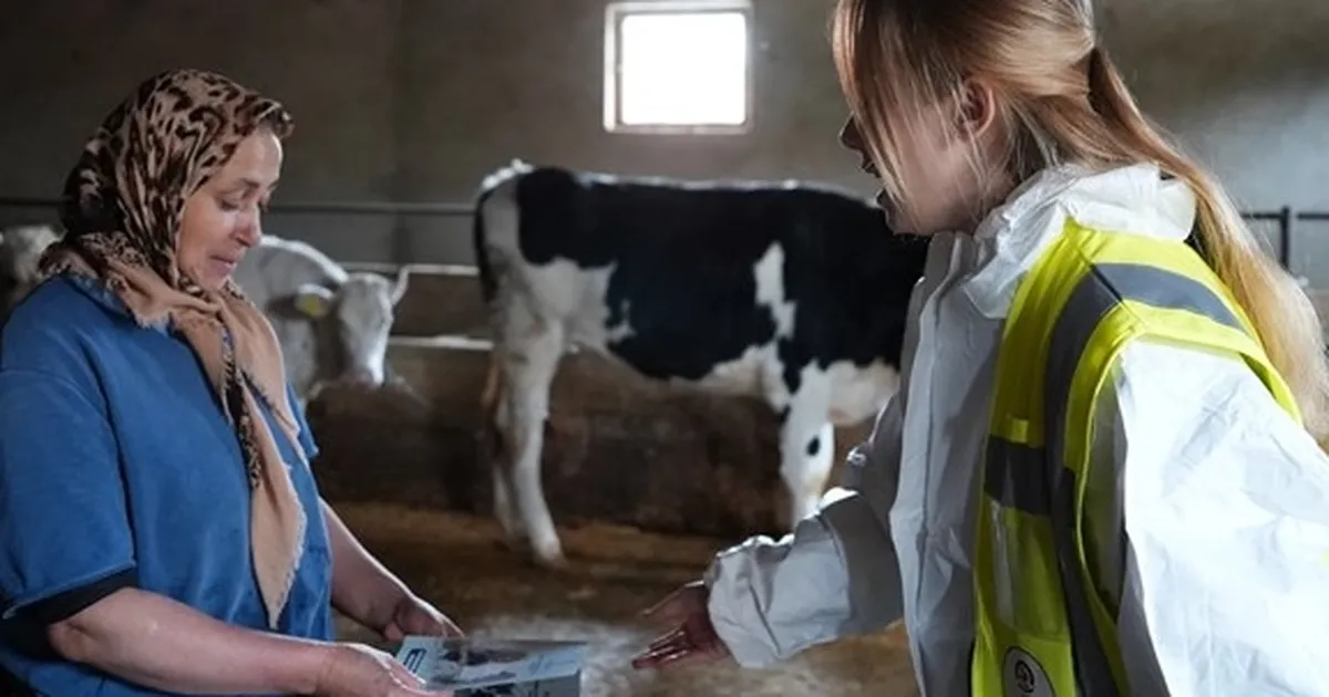 denizlide ucretsiz veteriner danismanlik hizmeti yayginlasiyor 2uRwSjiy.webp