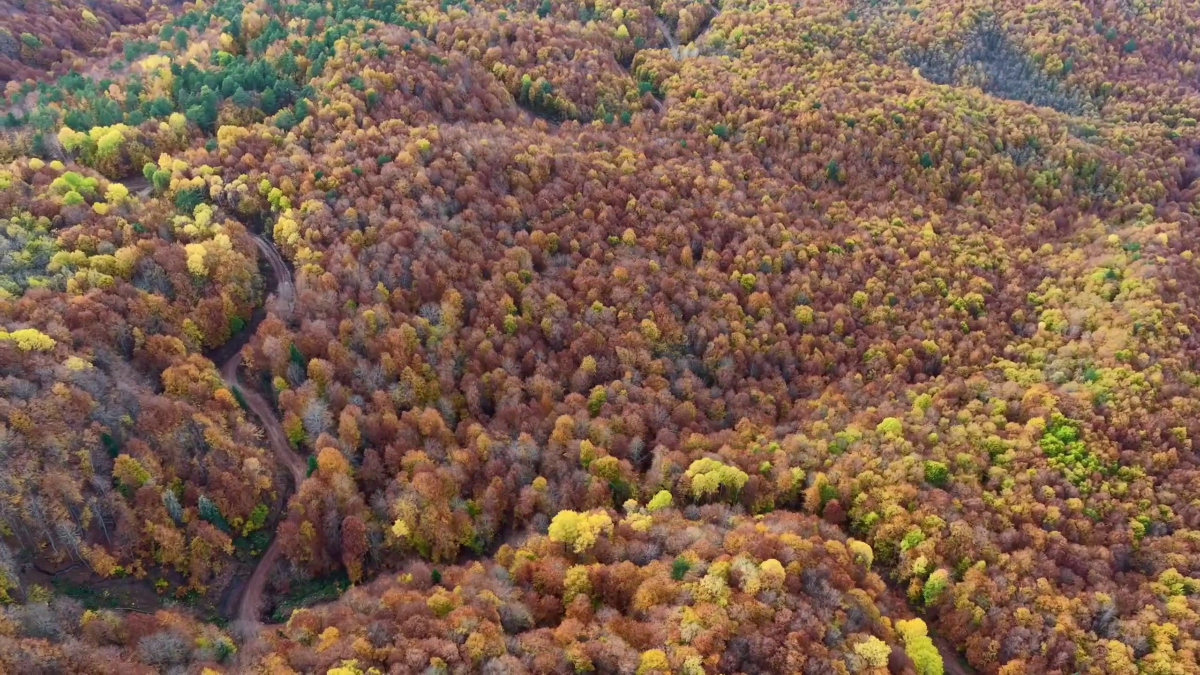 bolu mengende sonbahar guzelligi ID7mpAl2.jpg
